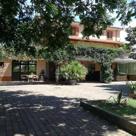 Guesthouse Skofije Ob Parenzani Spodnje Skofije Exterior photo